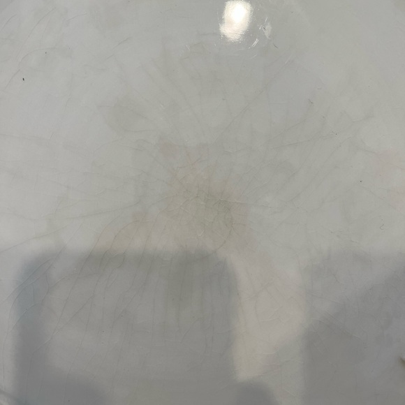 Williams Sonoma Tuscan Olive Dinner Plate Dish Italy Made - Picture 3 of 6